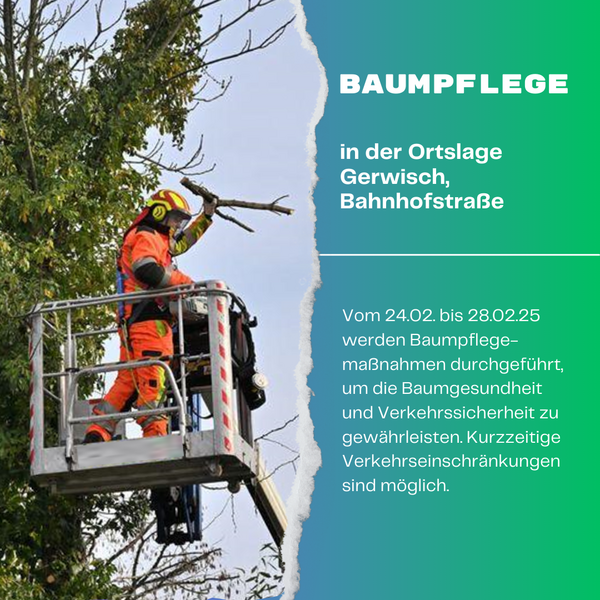 baumpflegemaßnahmen gerwisch