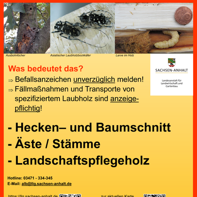 Bild vergrößern: ÖA_2_Poster_QZone_V3_kurz_Quarantäneholz