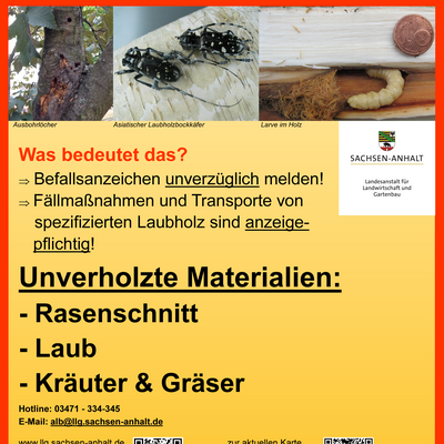 Bild vergrößern: ÖA_2_Poster_QZone_V3_kurz - unverholzte Materialien