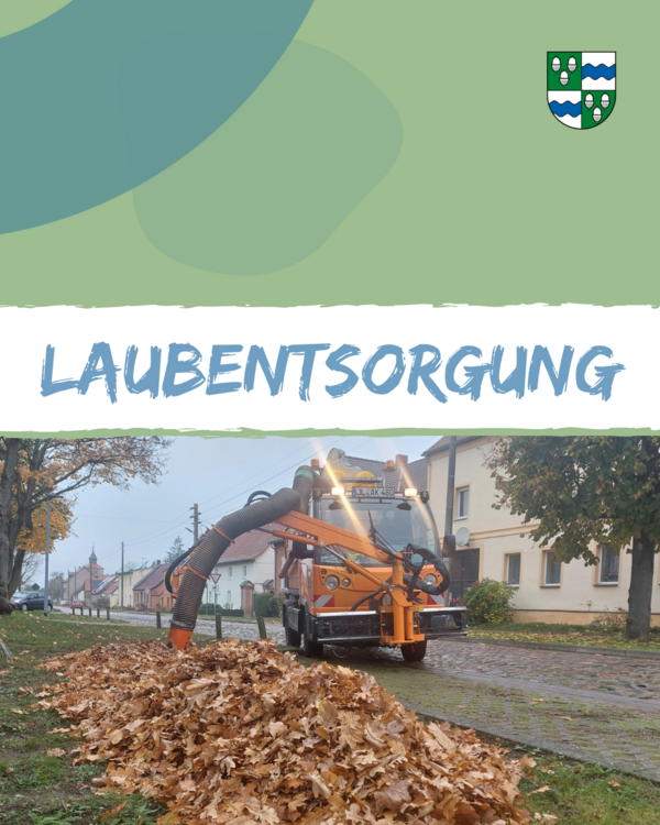 Bild vergr&ouml;&szlig;ern: Pressemitteilung - 2025.10.02 - Laubentsorgung
