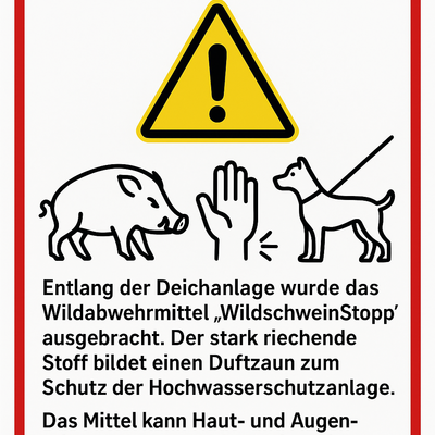 wildschwein
