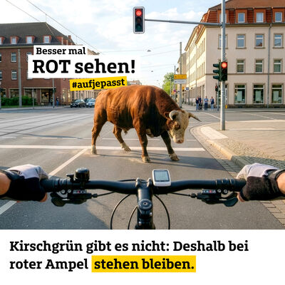 Bild vergr&ouml;&szlig;ern: Quadrat_1080x1080px_MS_Motiv_Rotlichtverst��e